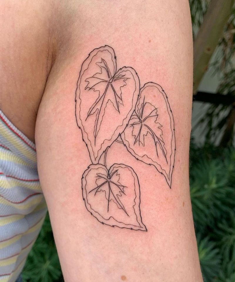 30 Unique Begonia Tattoos For Your Next Ink