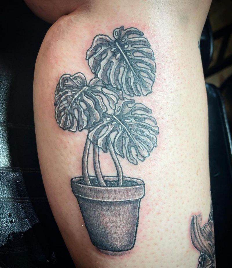 30 Unique Monstera Tattoos You Must Love