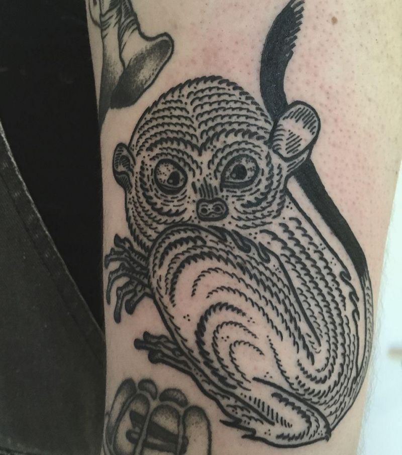 30 Unique Slow Loris Tattoos You Can Copy