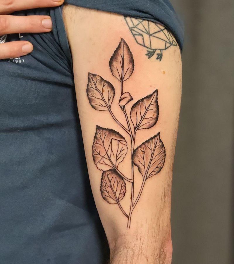 30 Perfect Aspen Leaf Tattoos Make You Attractive