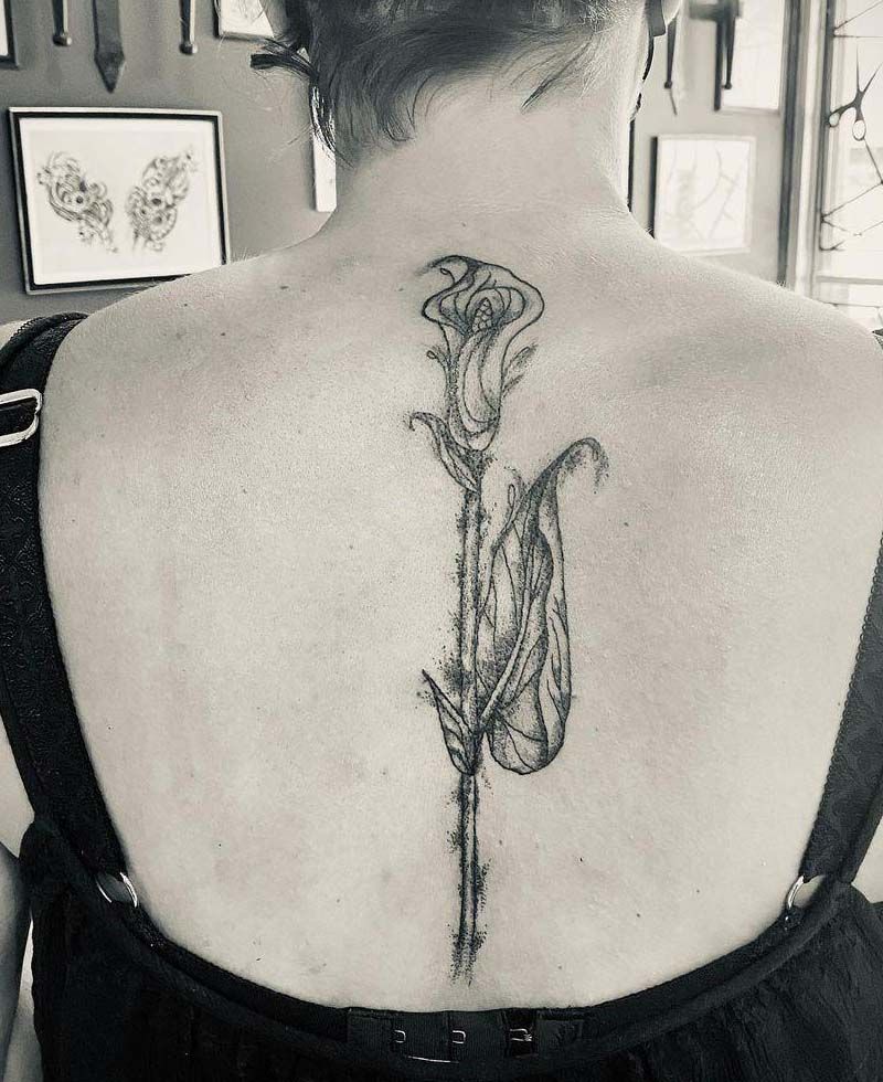 30 Pretty Calla Lily Tattoos Make You Attractive