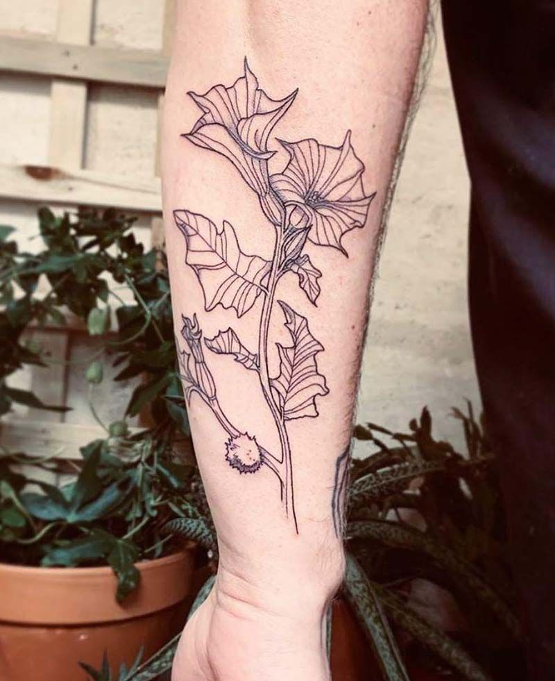 30 Unique Datura Tattoos to Inspire You