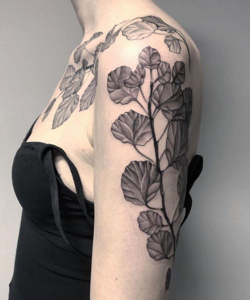 30 Perfect Aspen Leaf Tattoos Make You Attractive