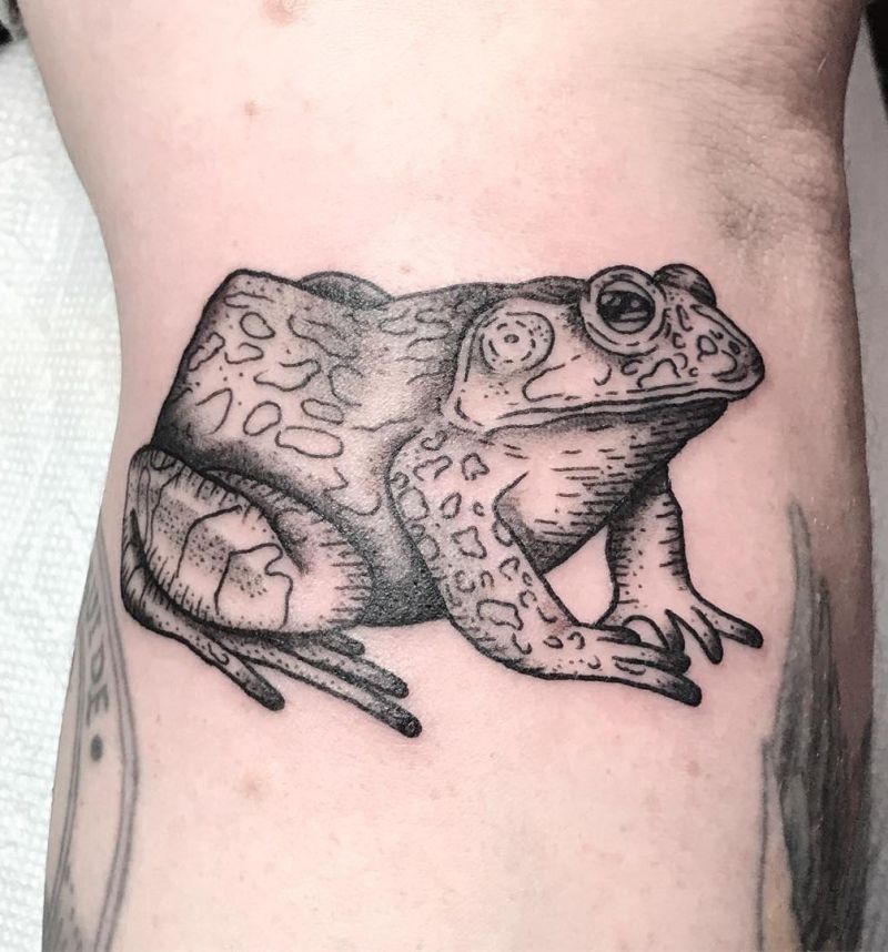 30 Unique Bullfrog Tattoos You Must Try