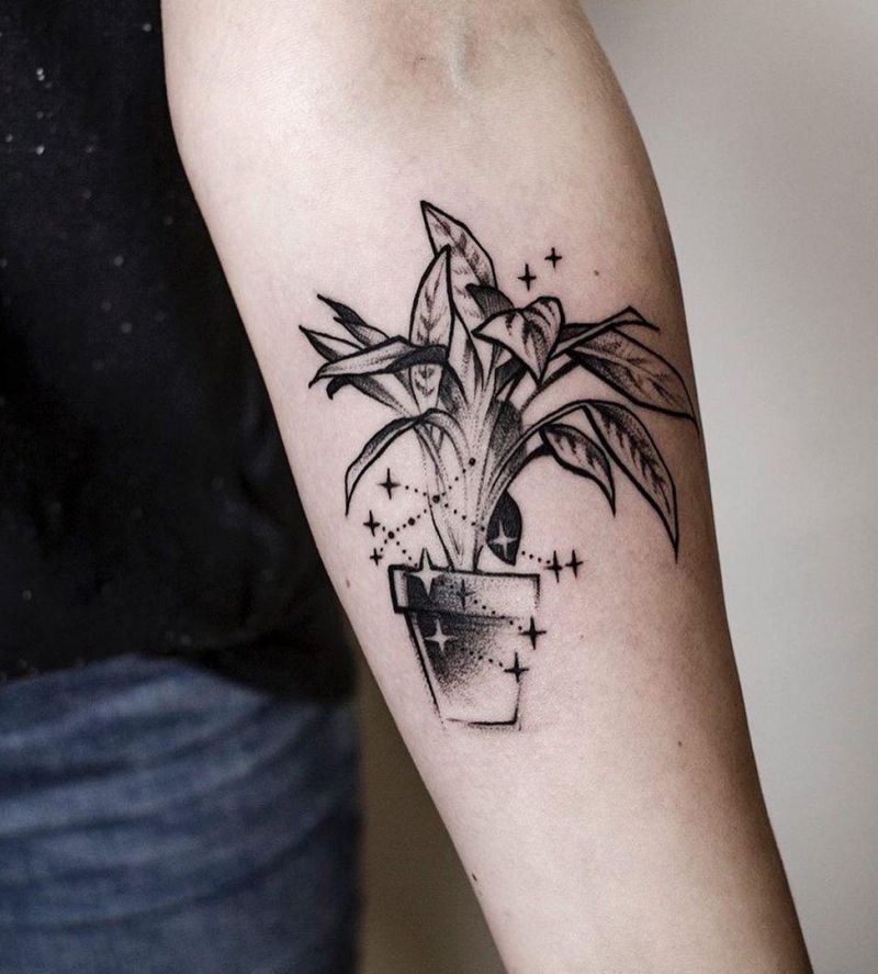 30 Unique Potted Plant Tattoos For Your Next Ink