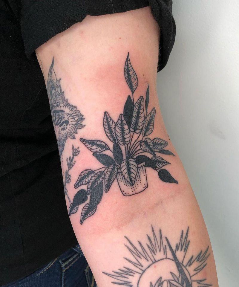 30 Unique Potted Plant Tattoos For Your Next Ink