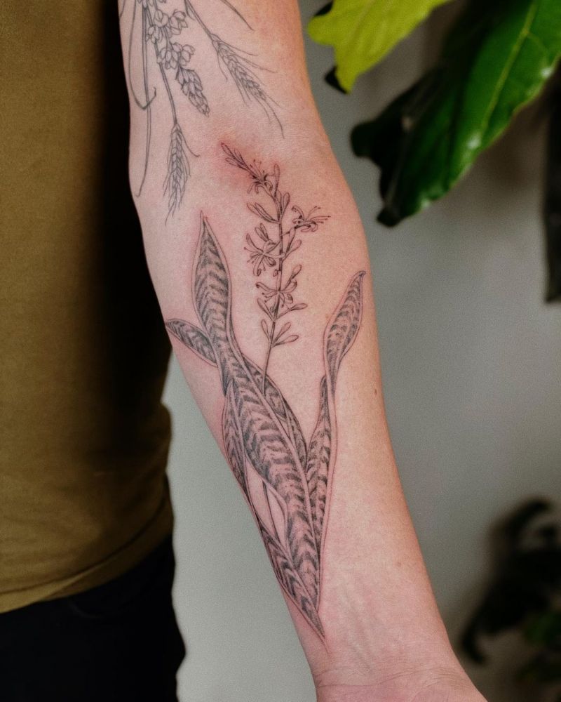 30 Unique Snake Plant Tattoos You Must Try