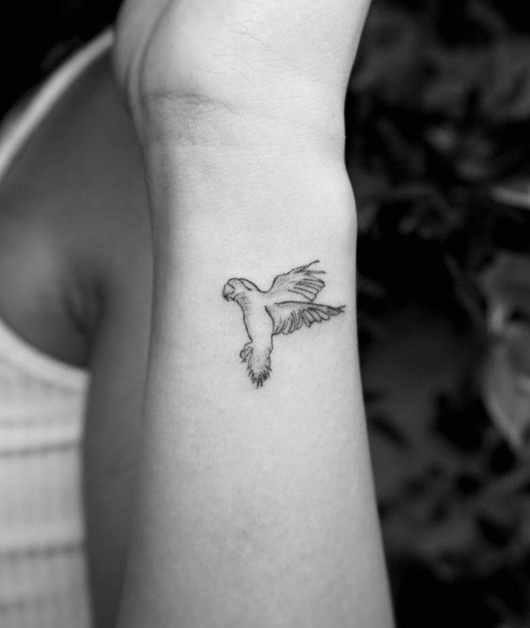 30 Pretty Lovebird Tattoos You Must Love