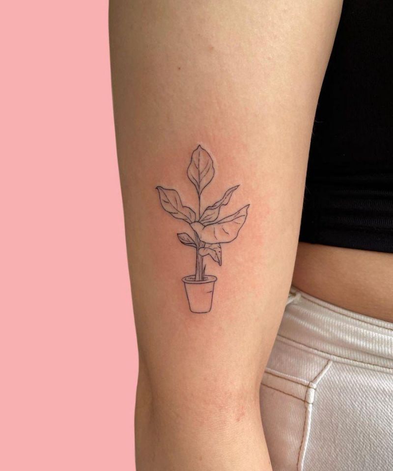 30 Unique Potted Plant Tattoos For Your Next Ink