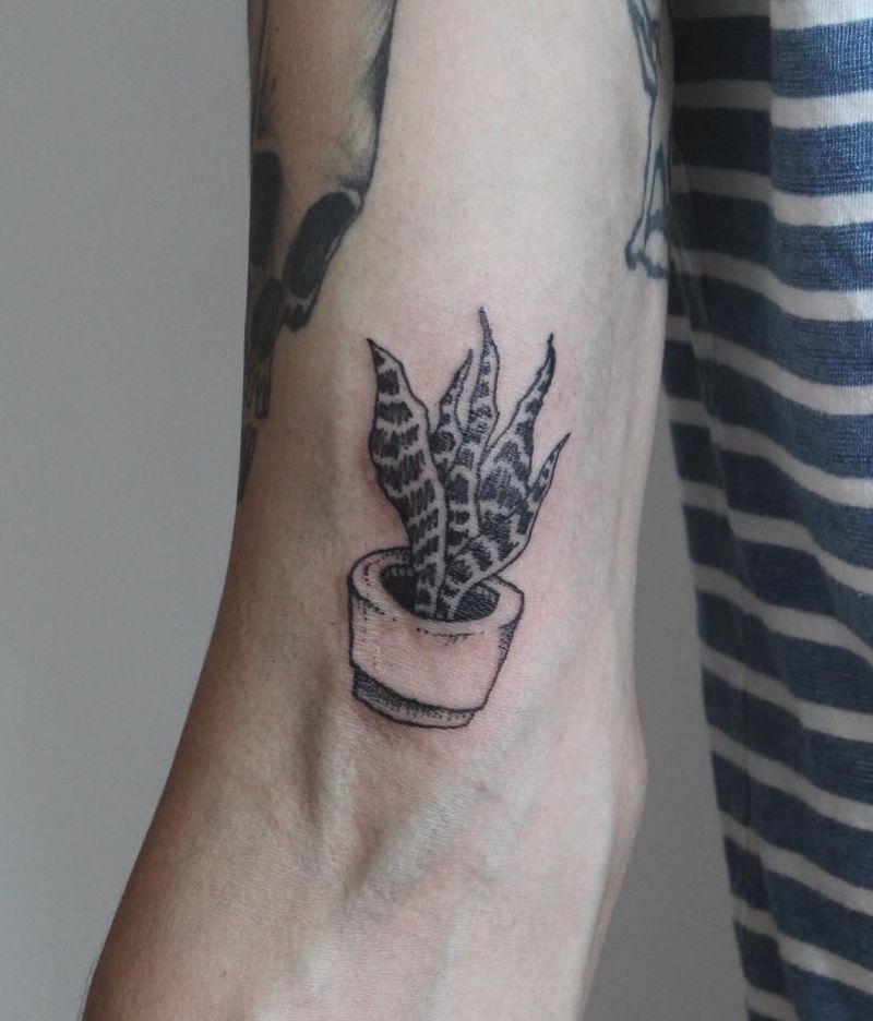 30 Unique Snake Plant Tattoos You Must Try