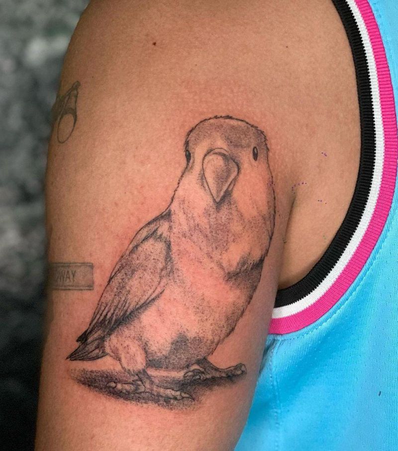 30 Pretty Lovebird Tattoos You Must Love