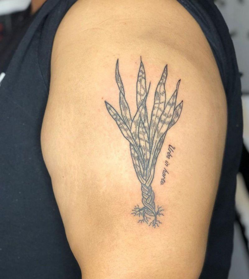 30 Unique Snake Plant Tattoos You Must Try