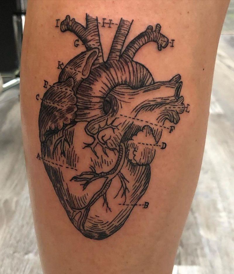 30 Unique Anatomical Heart Tattoos For Your Next Ink