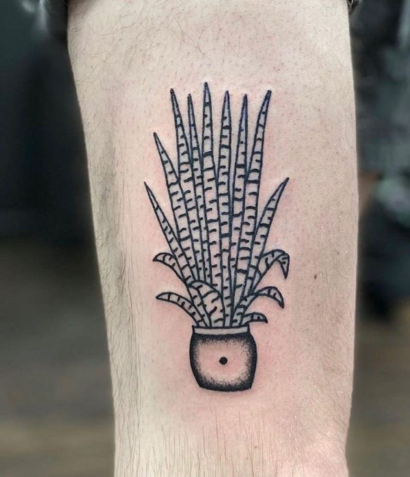 30 Unique Snake Plant Tattoos You Must Try