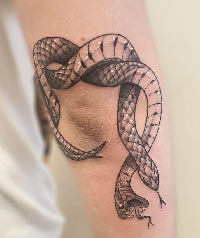 30 Cool Two Snakes Tattoos You Will Love