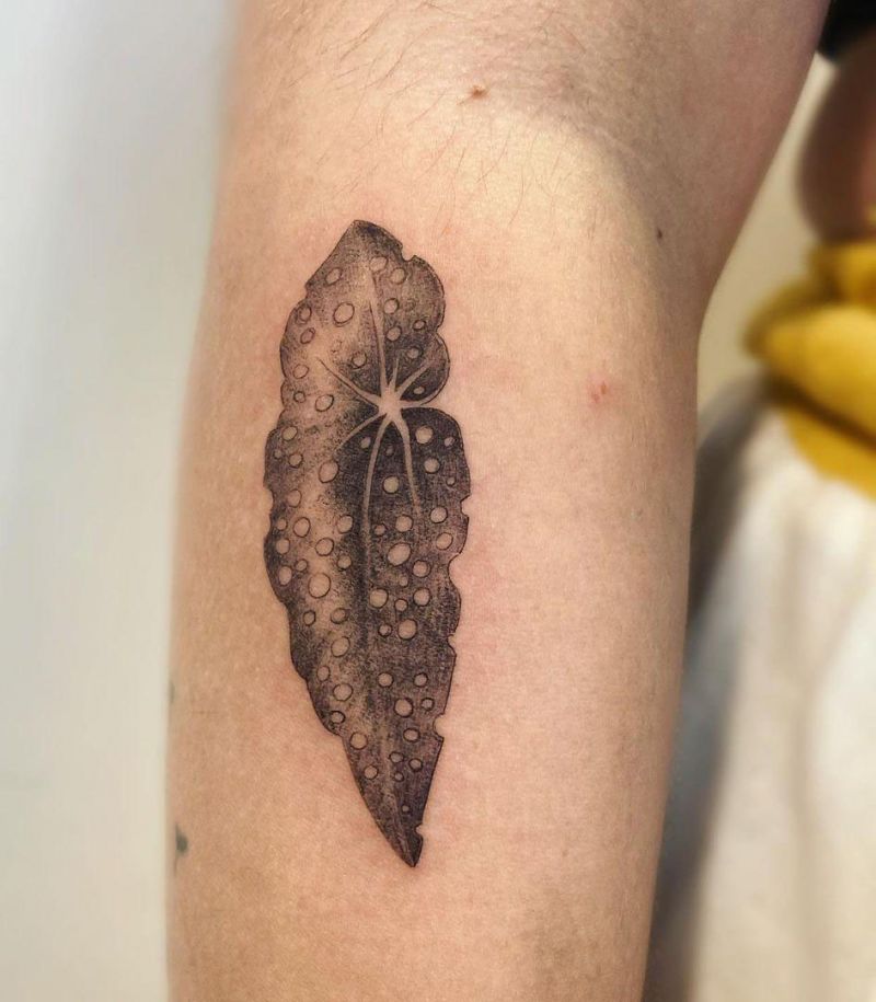 30 Unique Begonia Tattoos For Your Next Ink