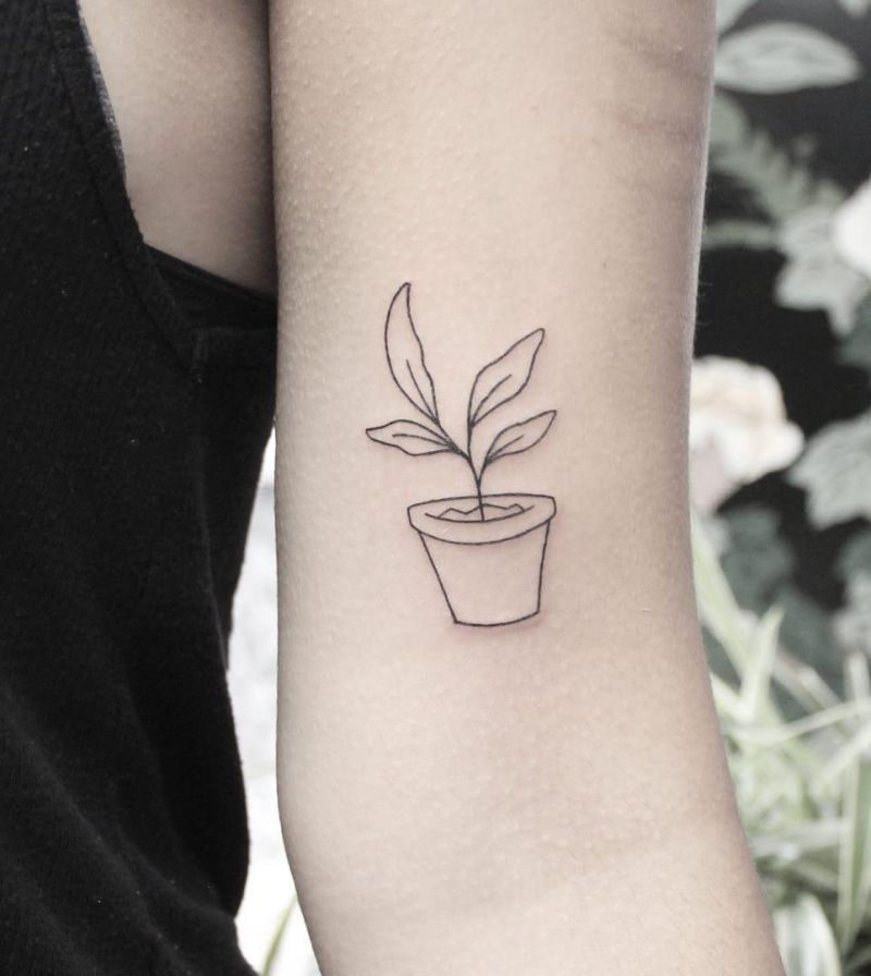 30 Unique Potted Plant Tattoos For Your Next Ink
