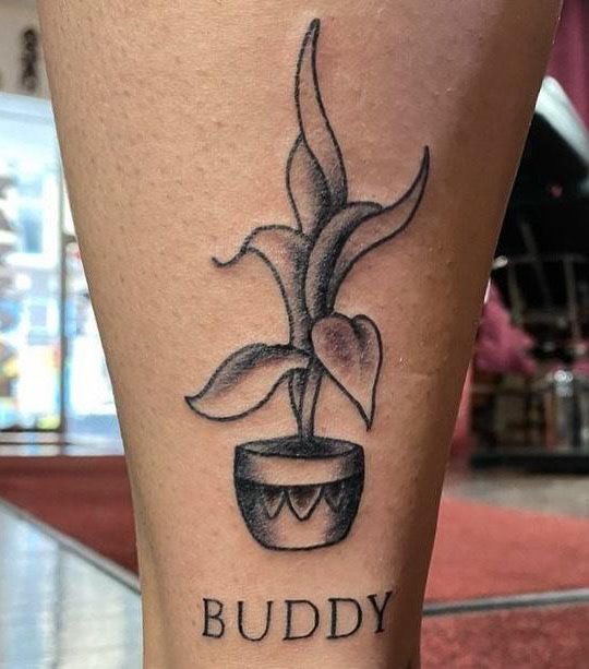 30 Unique Potted Plant Tattoos For Your Next Ink