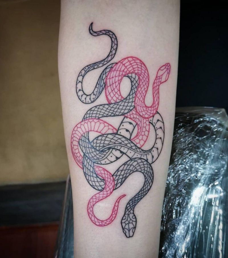 30 Cool Two Snakes Tattoos You Will Love