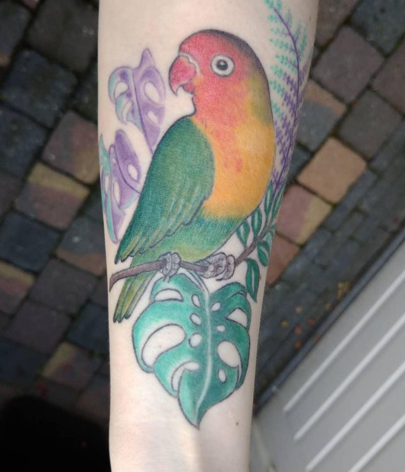 30 Pretty Lovebird Tattoos You Must Love