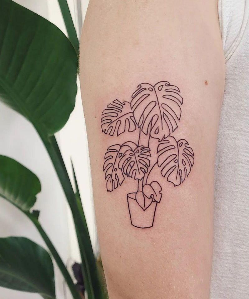 30 Unique Monstera Tattoos You Must Love