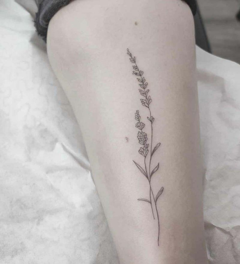 30 Elegant Lavender Tattoos You Can Copy