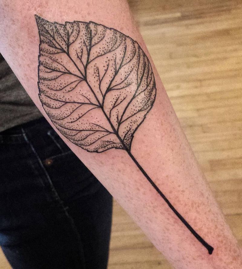 30 Perfect Aspen Leaf Tattoos Make You Attractive