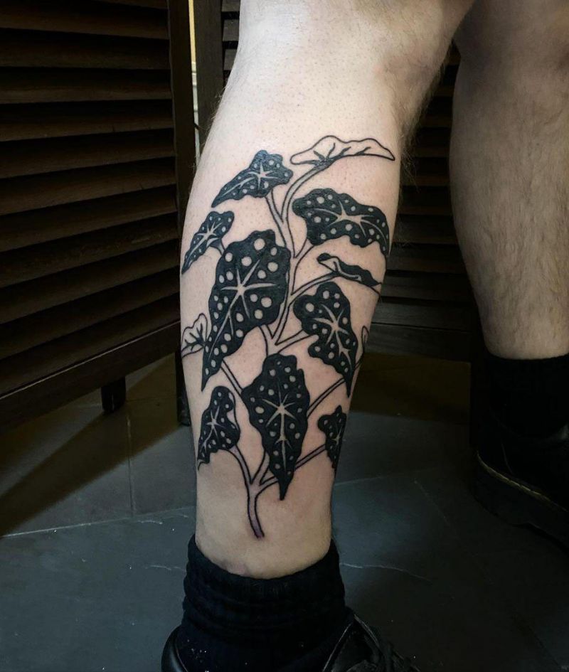 30 Unique Begonia Tattoos For Your Next Ink