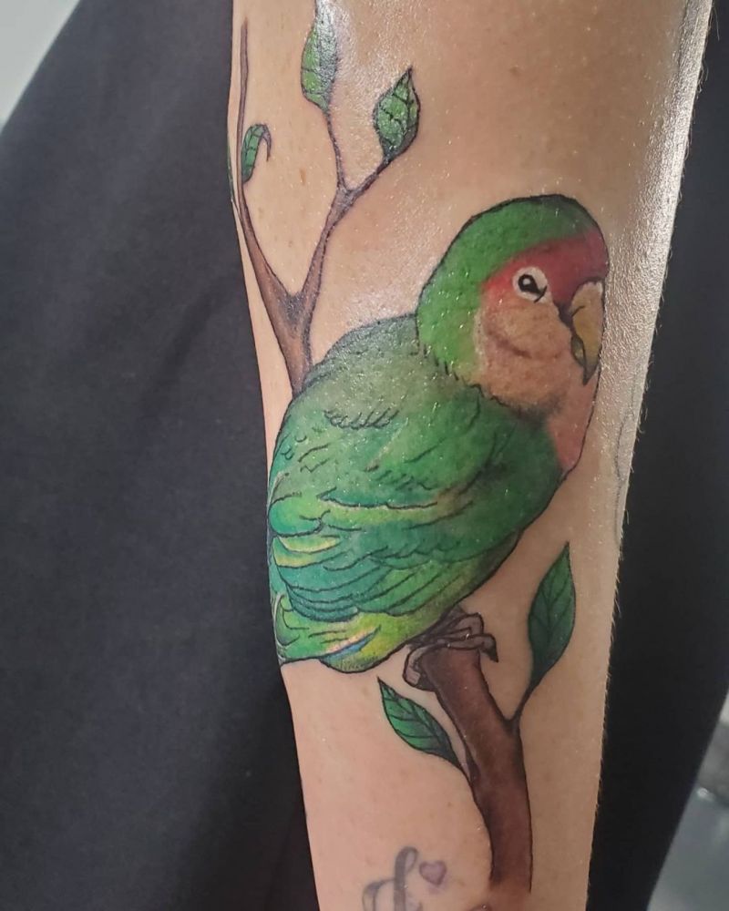 30 Pretty Lovebird Tattoos You Must Love
