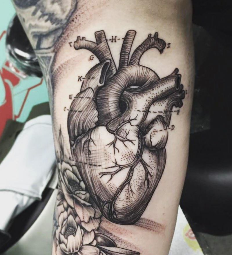 30 Unique Anatomical Heart Tattoos For Your Next Ink