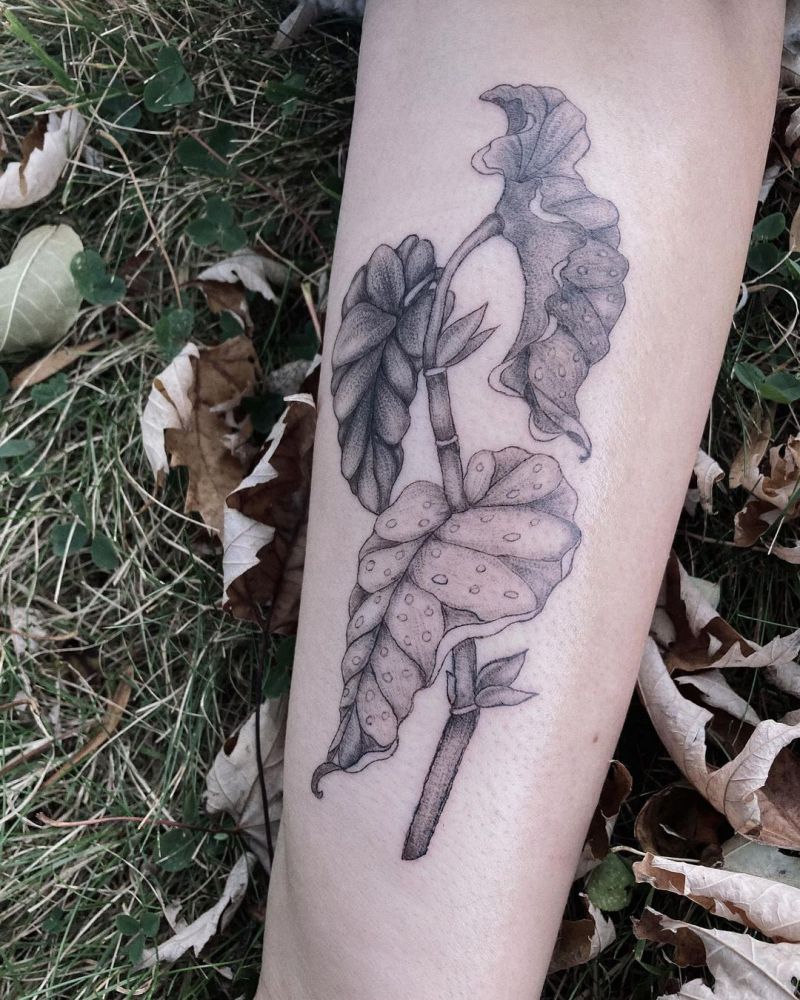 30 Unique Begonia Tattoos For Your Next Ink