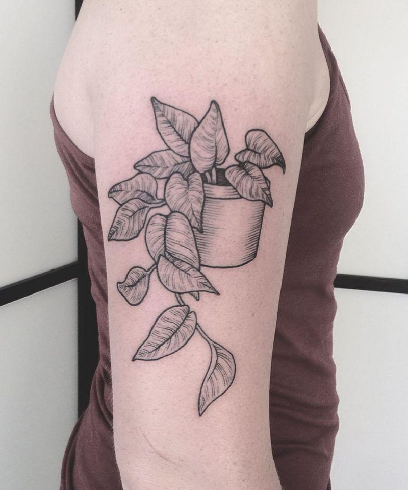 30 Unique Pothos Tattoos Make You Attractive