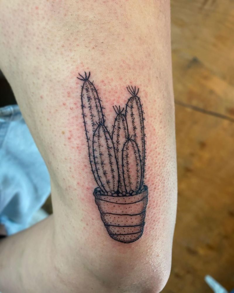 30 Unique Potted Plant Tattoos For Your Next Ink