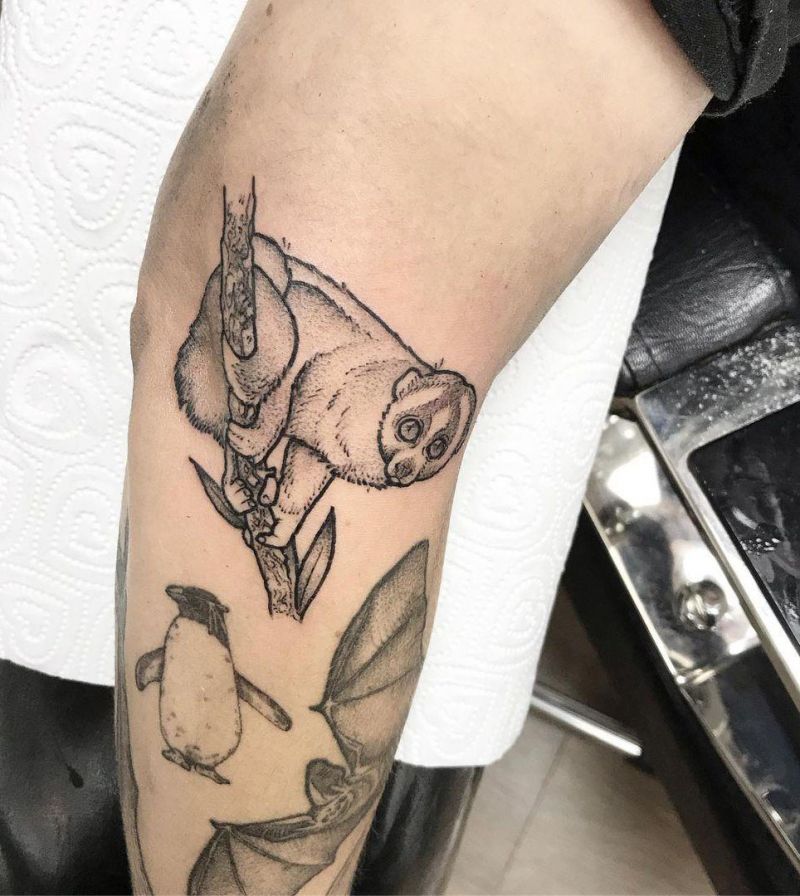 30 Unique Slow Loris Tattoos You Can Copy