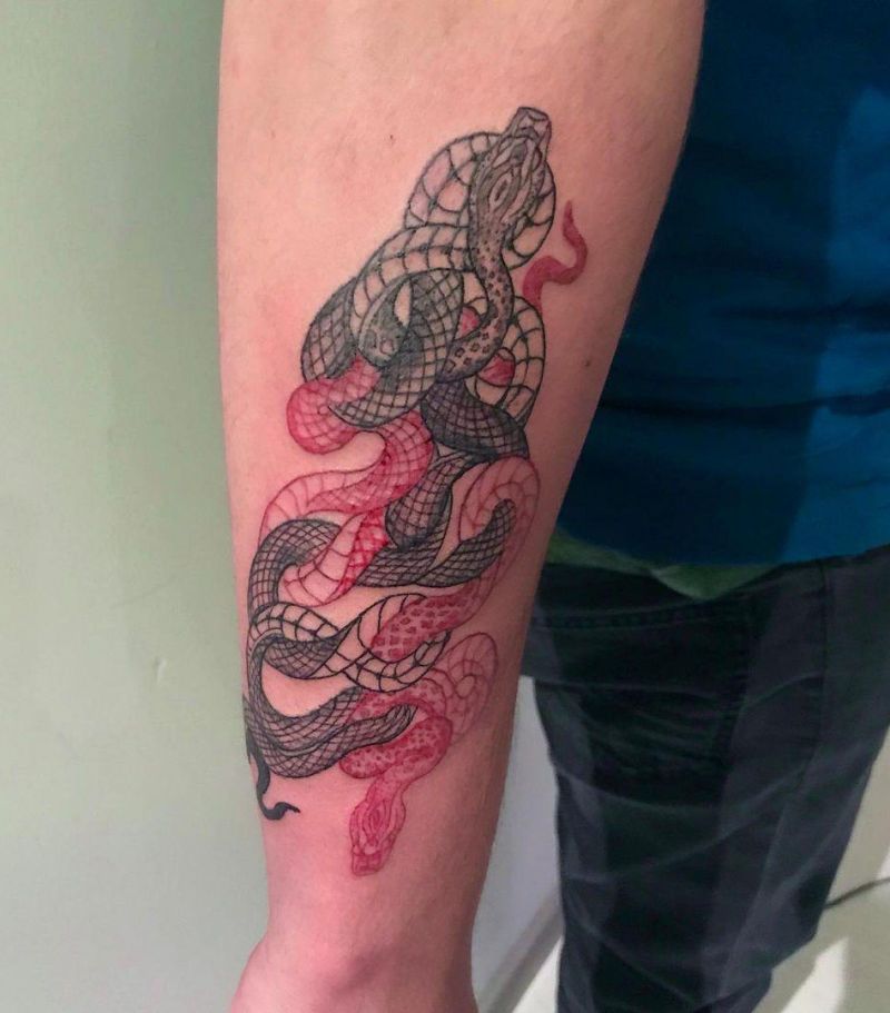 30 Cool Two Snakes Tattoos You Will Love