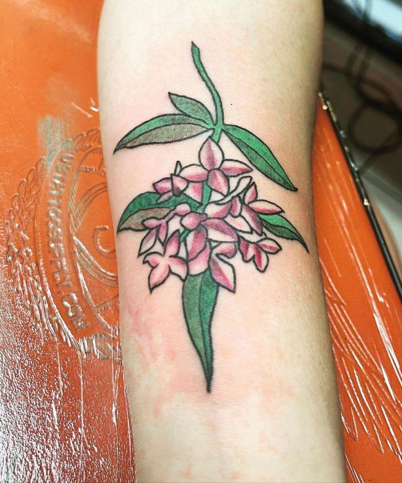 10+ Unique Daphne Flower Tattoos You Can Copy