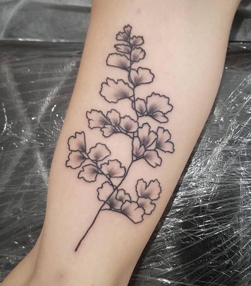 30 Pretty Maidenhair Fern Tattoos You Must Love