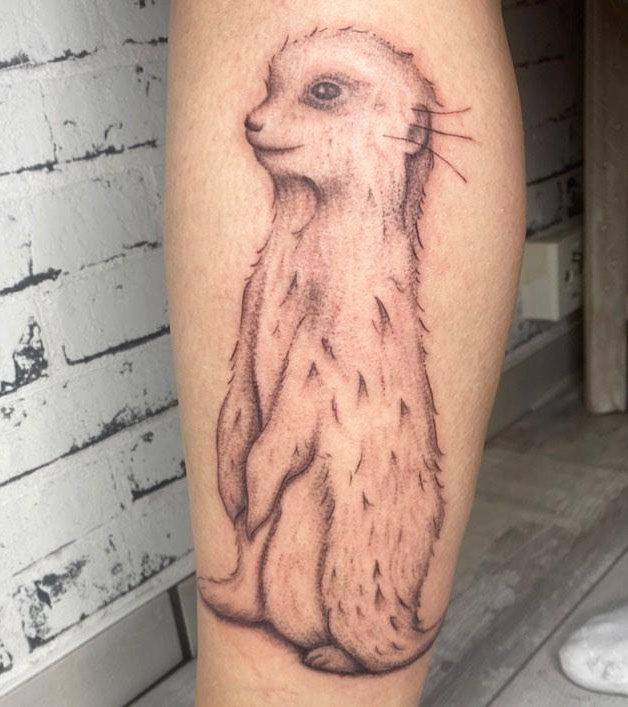 30 Unique Meerkat Tattoos You Can Copy