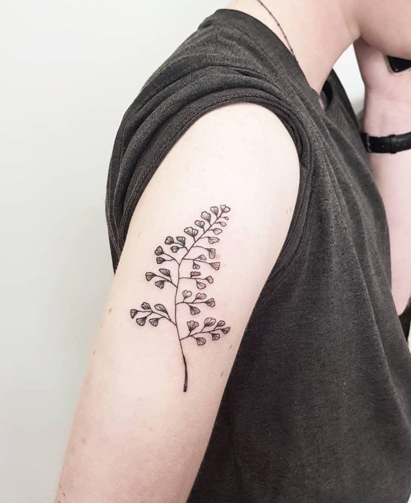 30 Pretty Maidenhair Fern Tattoos You Must Love