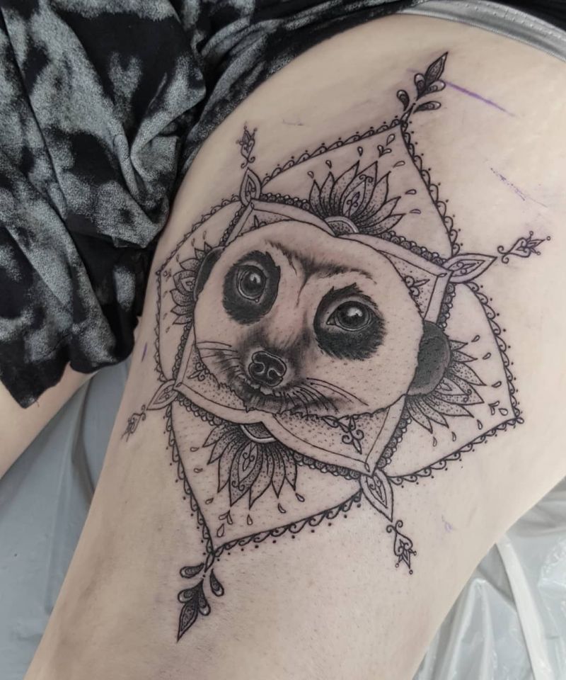 30 Unique Meerkat Tattoos You Can Copy