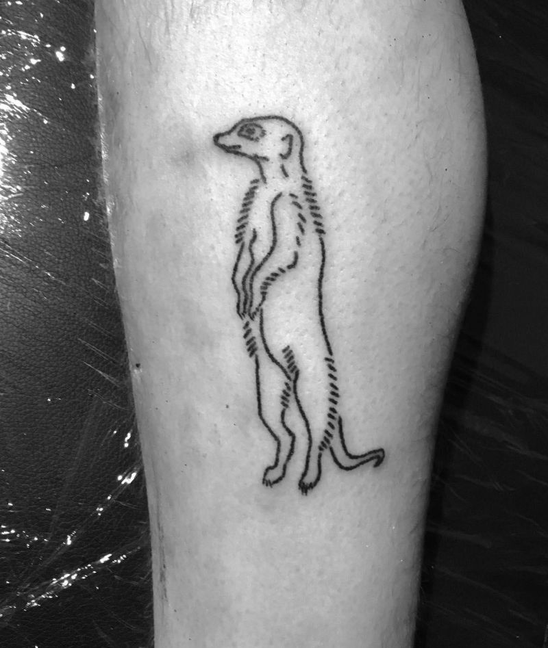 30 Unique Meerkat Tattoos You Can Copy