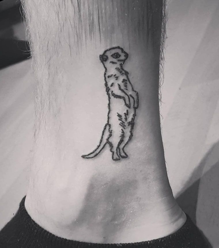 30 Unique Meerkat Tattoos You Can Copy