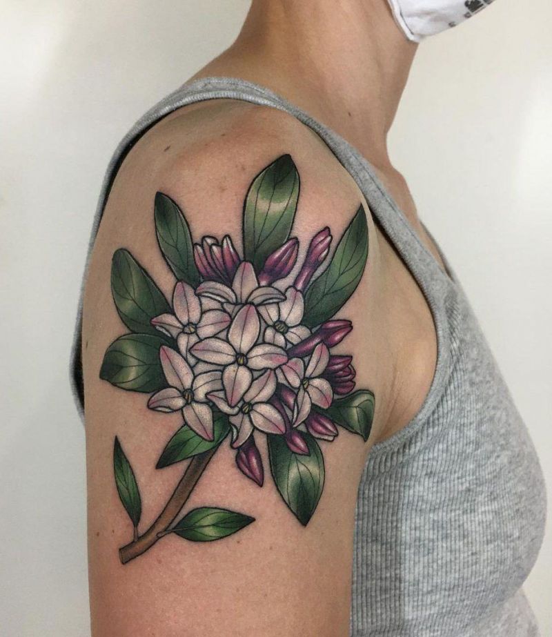10+ Unique Daphne Flower Tattoos You Can Copy