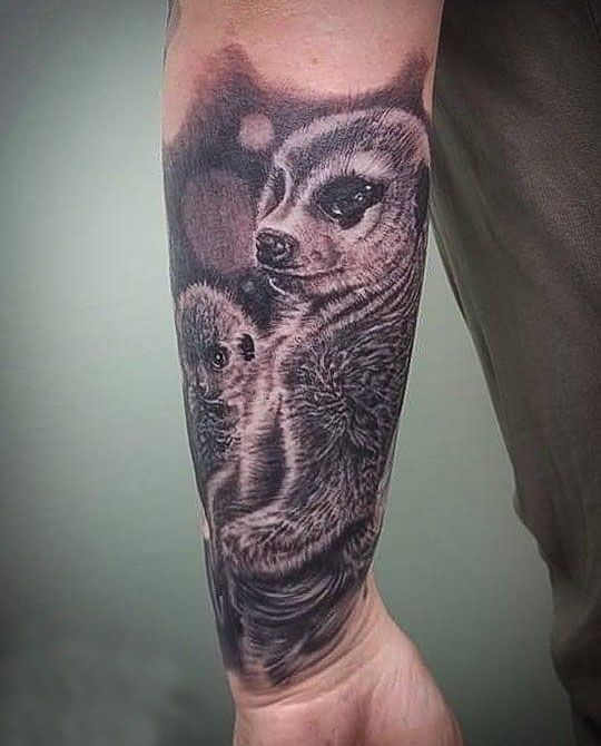 30 Unique Meerkat Tattoos You Can Copy