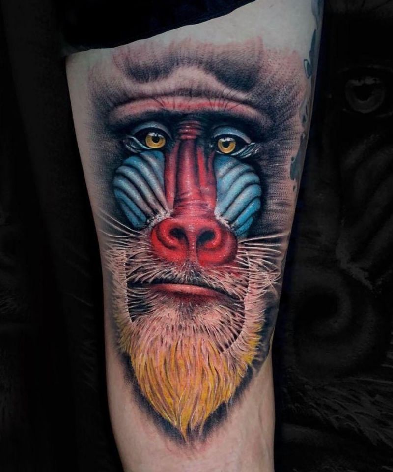 30 Great Mandrill Tattoos to Inspire You