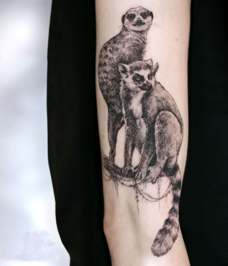 30 Unique Meerkat Tattoos You Can Copy