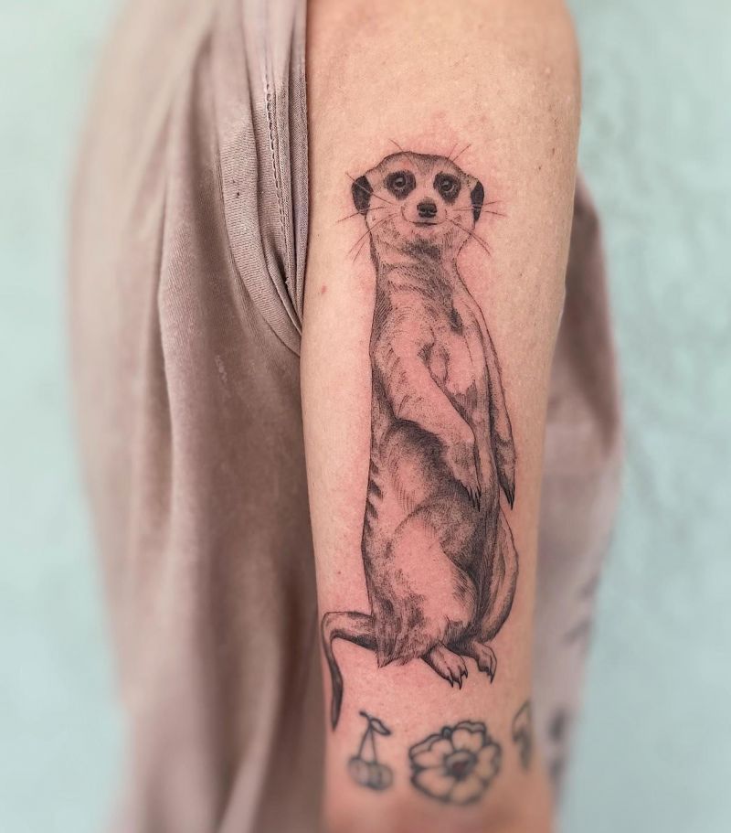 30 Unique Meerkat Tattoos You Can Copy