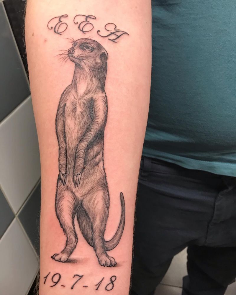 30 Unique Meerkat Tattoos You Can Copy