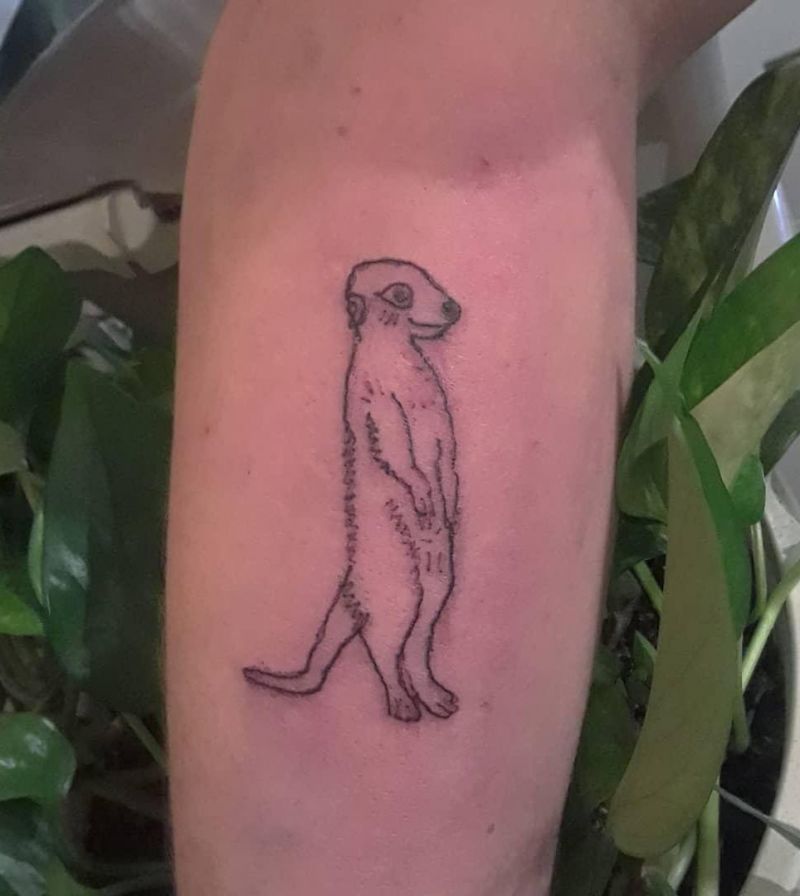 30 Unique Meerkat Tattoos You Can Copy