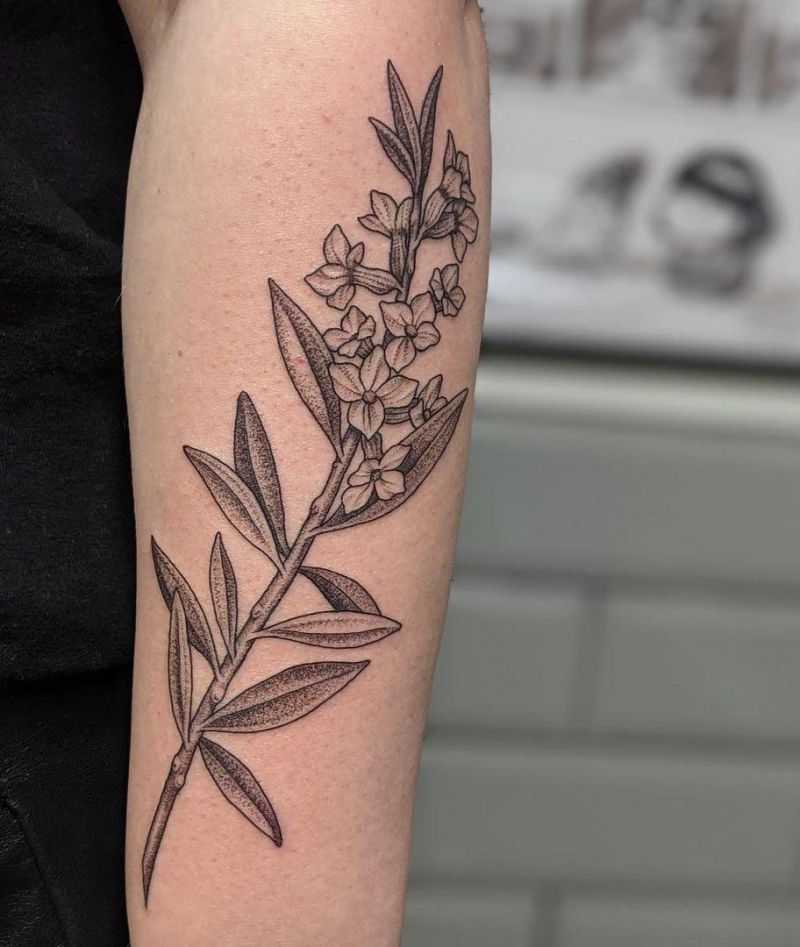 10+ Unique Daphne Flower Tattoos You Can Copy